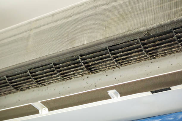 Best Dryer Vent Cleaning Services  in Rockville, MD